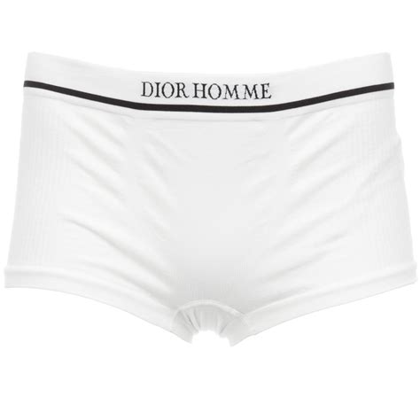 dior mens briefs|christian Dior socks men.